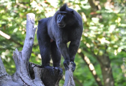 Le zoo de Mulhouse