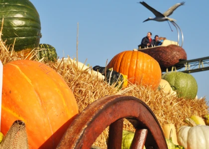 Halloween à Cigoland