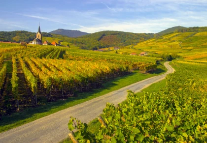 La route des vins alsace