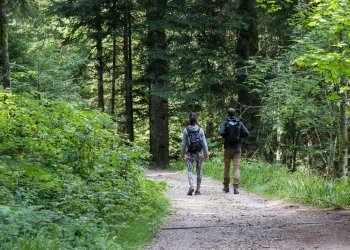 hiking in the Bas-Rhin - Bonjour Alsace
