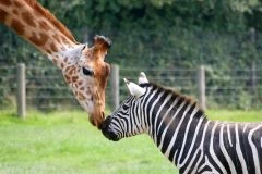 Parc animalier - app.name