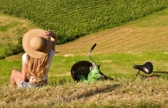 Stroll in the vineyards - Bonjour Alsace