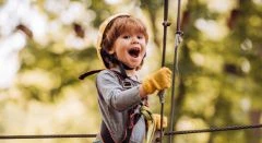 Tree climbing adventure Strasbourg - Bonjour Alsace