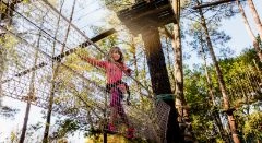 Tree climbing adventure Mulhouse - Bonjour Alsace