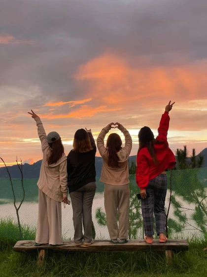 Adults (aged 12 and over)