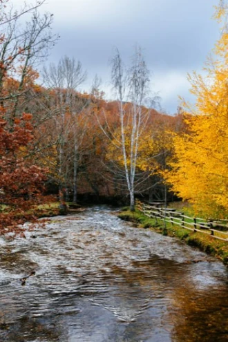 Alsace du Nord