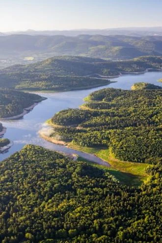 Vosges