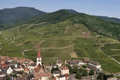 AMMERSCHWIHR #14 - Tournée des Terroirs - Wine in Ammerschwihr, a 1000-year-old history - Bonjour Alsace