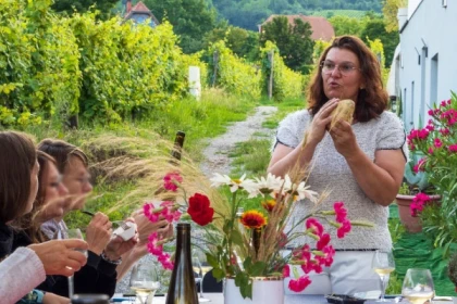 Gourmet Aperitif at the Independent Winegrower - Wines from Terroirs and Old Vines - Bonjour Alsace