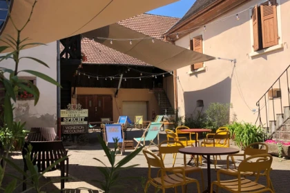 Gourmet aperitif at the Independent Winegrower's - Bonjour Alsace