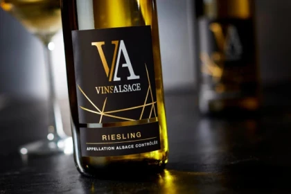 BERGBIETEN #15 - Workshop Tournée des Terroirs - Riesling from the Ballbronn ditch - Bonjour Alsace