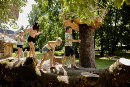 Entrance ticket - the Wesserling Park - Bonjour Alsace