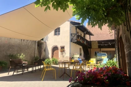 Winegrower discovery: the soul of a vineyard - Bonjour Alsace