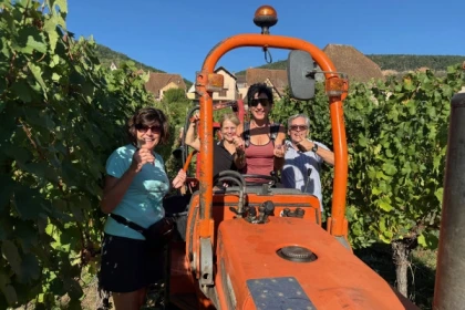 Grape-picker for a day - Bonjour Alsace