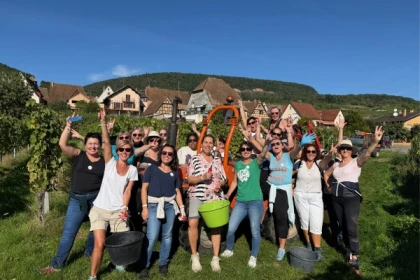 Grape-picker for a day - Bonjour Alsace