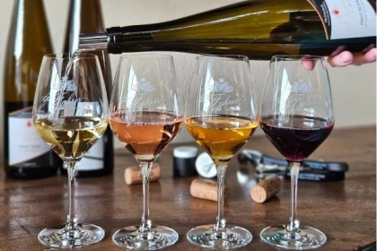 Guided winery tour in Alsace - local wine tasting - app.name