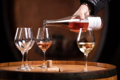 Initiation à l'art de la dégustation à Ammerschwihr - app.name