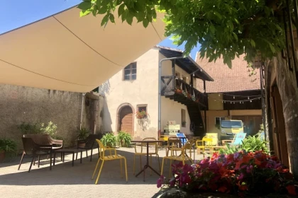 Senses on the edge: wine through smell and taste - Bonjour Alsace