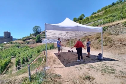 ORSCHWIHR #1 - Workshop - Yoga in the heart of the Grand Cru - Bonjour Alsace