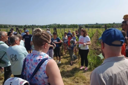 Dare to Alsace Wine with a Feminine Touch & winegrower's picnic - Bonjour Alsace