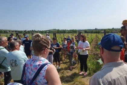 Osez le vin au féminin - app.name