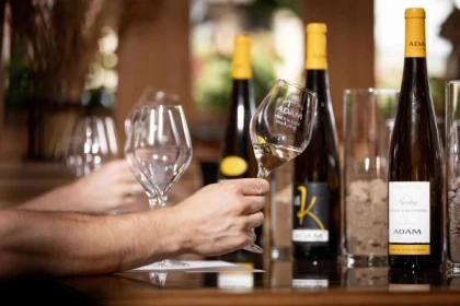 Parenthèse Vigneronne 'Biodynamics and the Kaefferkopf Grand Cru' - tasting - Bonjour Alsace
