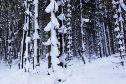 Raquettes à neige privative au Neuntelstein - app.name