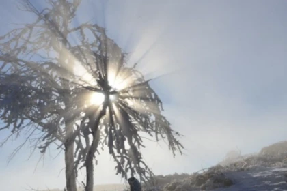 Raquettes à neige privative au Rouge Gazon - app.name