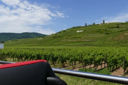 From Strasbourg: "Best Of Alsace" day tour - Bonjour Alsace