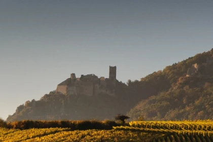 Alsace vineyards and wine tasting - Bonjour Alsace