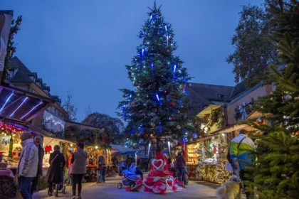 From Strasbourg: Alsace Villages and Christmas Markets - Bonjour Alsace