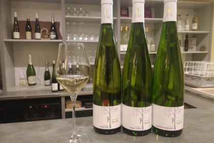 Traditional visit & wine tasting - 5 grape varieties - Bonjour Alsace