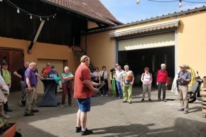 Traditional visit & wine tasting - 5 grape varieties - Bonjour Alsace