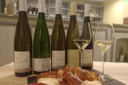 Traditional visit & wine tasting - 5 grape varieties - Bonjour Alsace
