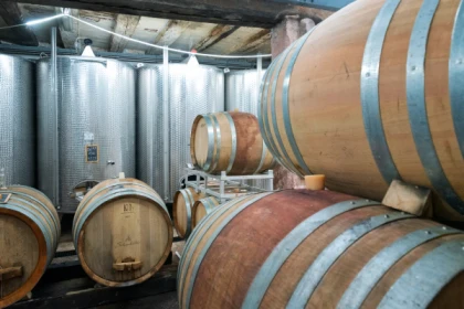 Visite de cave et découverte des vins d'Alsace - app.name