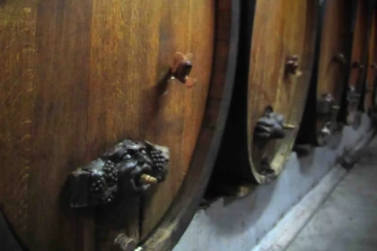 Visite de cave et dégustation de vin bio à Ammerschwihr - app.name