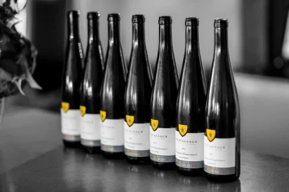 Visite du domaine et dégustation commentée - app.name