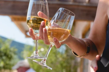 Visite du domaine et dégustation de nos vins - app.name