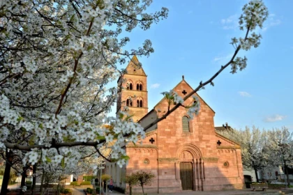 Guided tour, 'Sigolsheim and the famous Sigold wine' - Bonjour Alsace