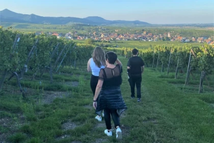Treasure hunt in the Marckrain vineyard - Bonjour Alsace