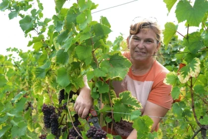 Dare to Alsace Wine with a Feminine Touch & VIP winegrower's picnic - Bonjour Alsace