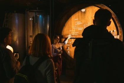 Wine tasting and immersive cellar tour - Bonjour Alsace