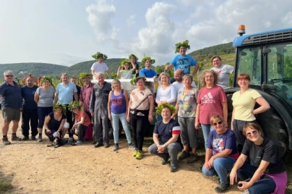Grape-picker for a day - Bonjour Alsace
