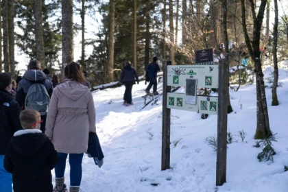 Family snowshoe outing - Bonjour Alsace