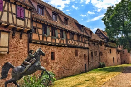 From Strasbourg: Pearl of the Vineyard day tour - Bonjour Alsace