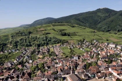 WINTZENHEIM #2 - Workshop Tournée des Terroirs - Walks on the Grand Cru Hengst - Bonjour Alsace