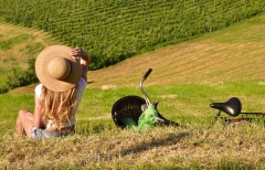 Stroll in the vineyards - Bonjour Alsace