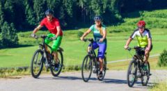 Electric mountain bike rental - Bonjour Alsace