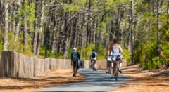 Outdoor activity - Bonjour Alsace