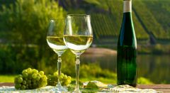 Wine tasting - Bonjour Alsace